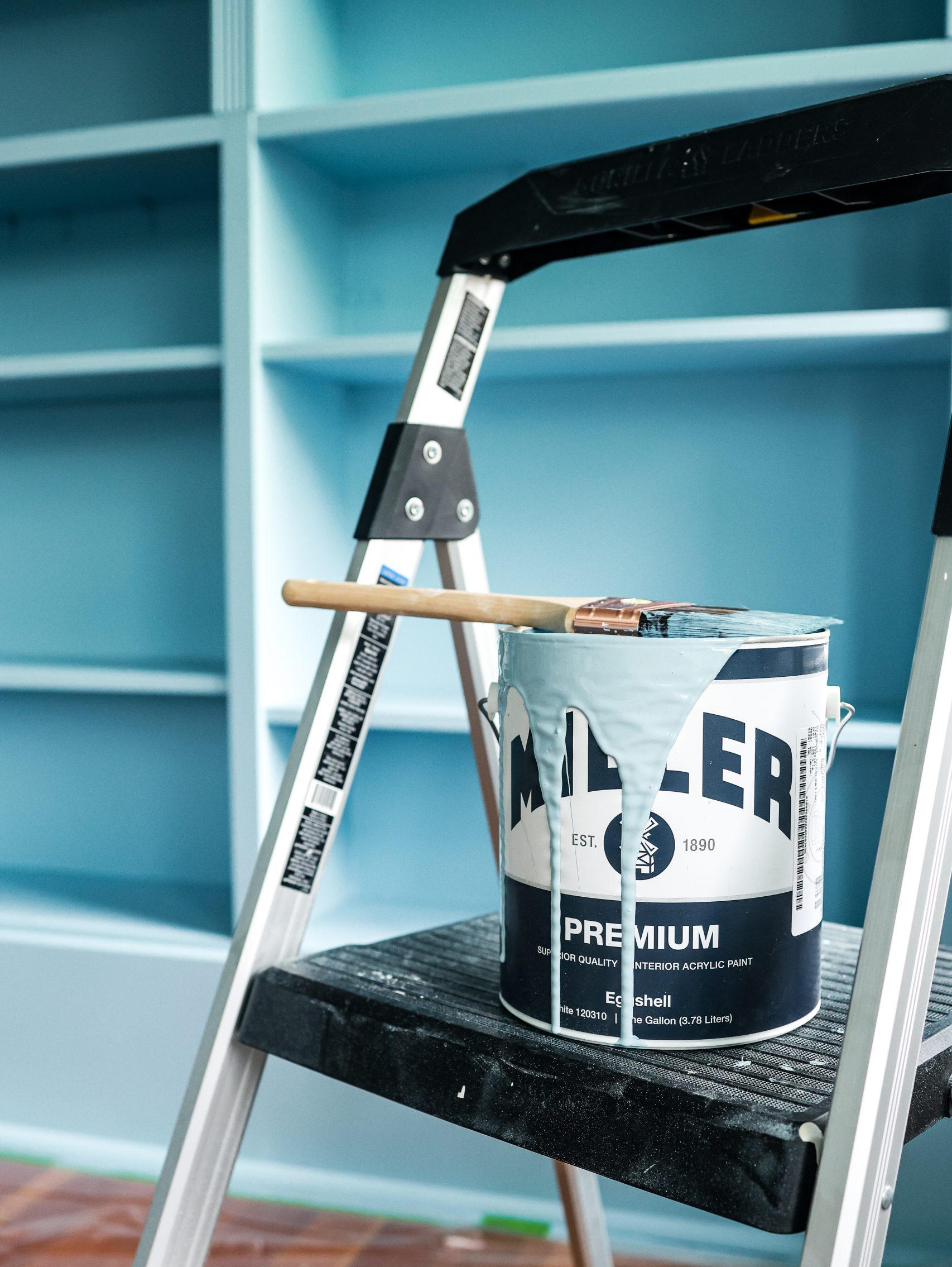 Miller_Paint_Bookshelves-09