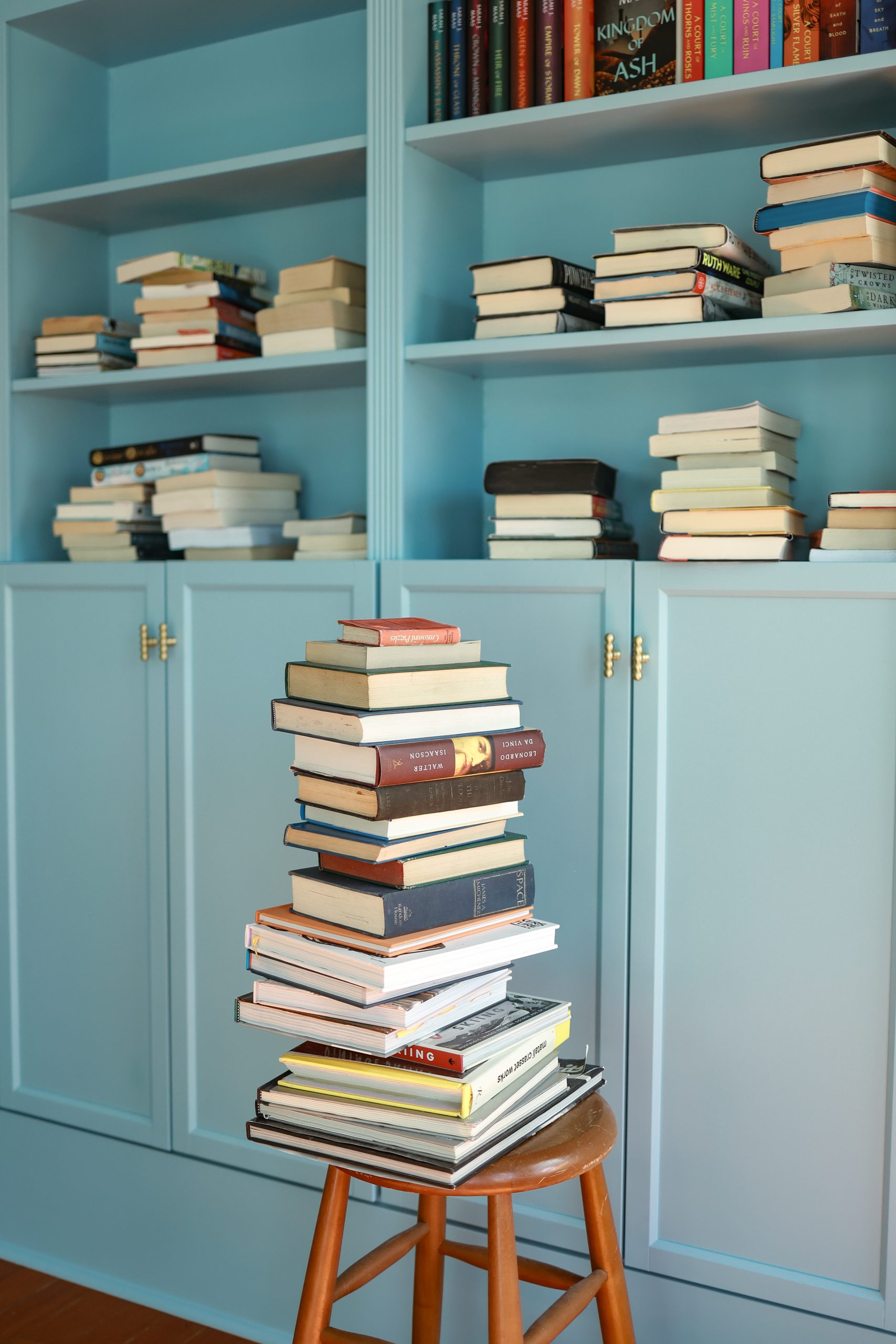 Miller_Paint_Bookshelves-20